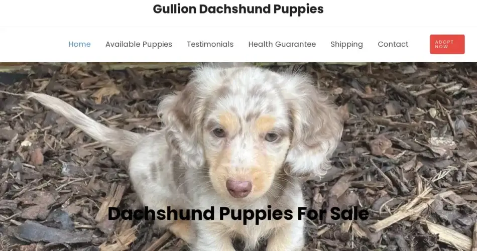 Is Gulliondachshundpuppies.com legit?