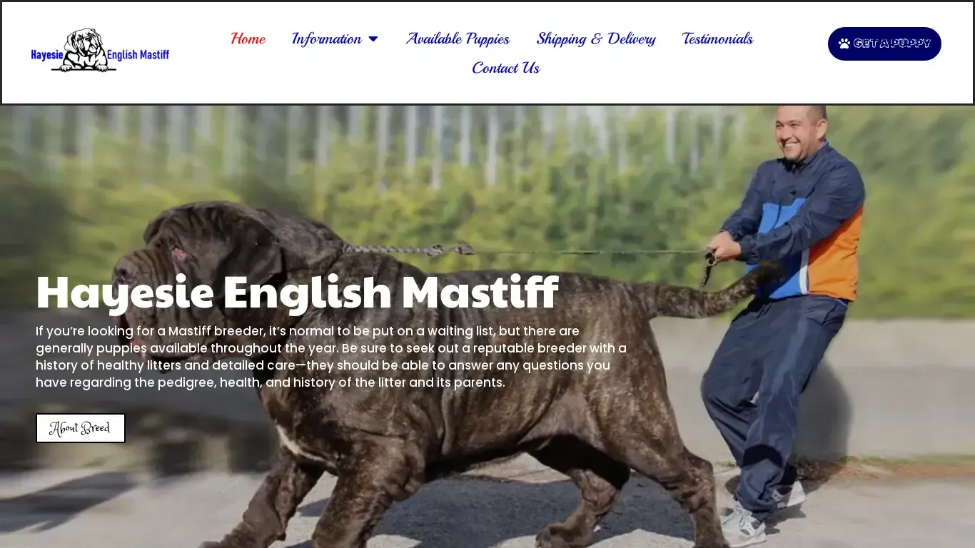 is Hayesie English Mastiff – English Mastiff for Sale legit? screenshot