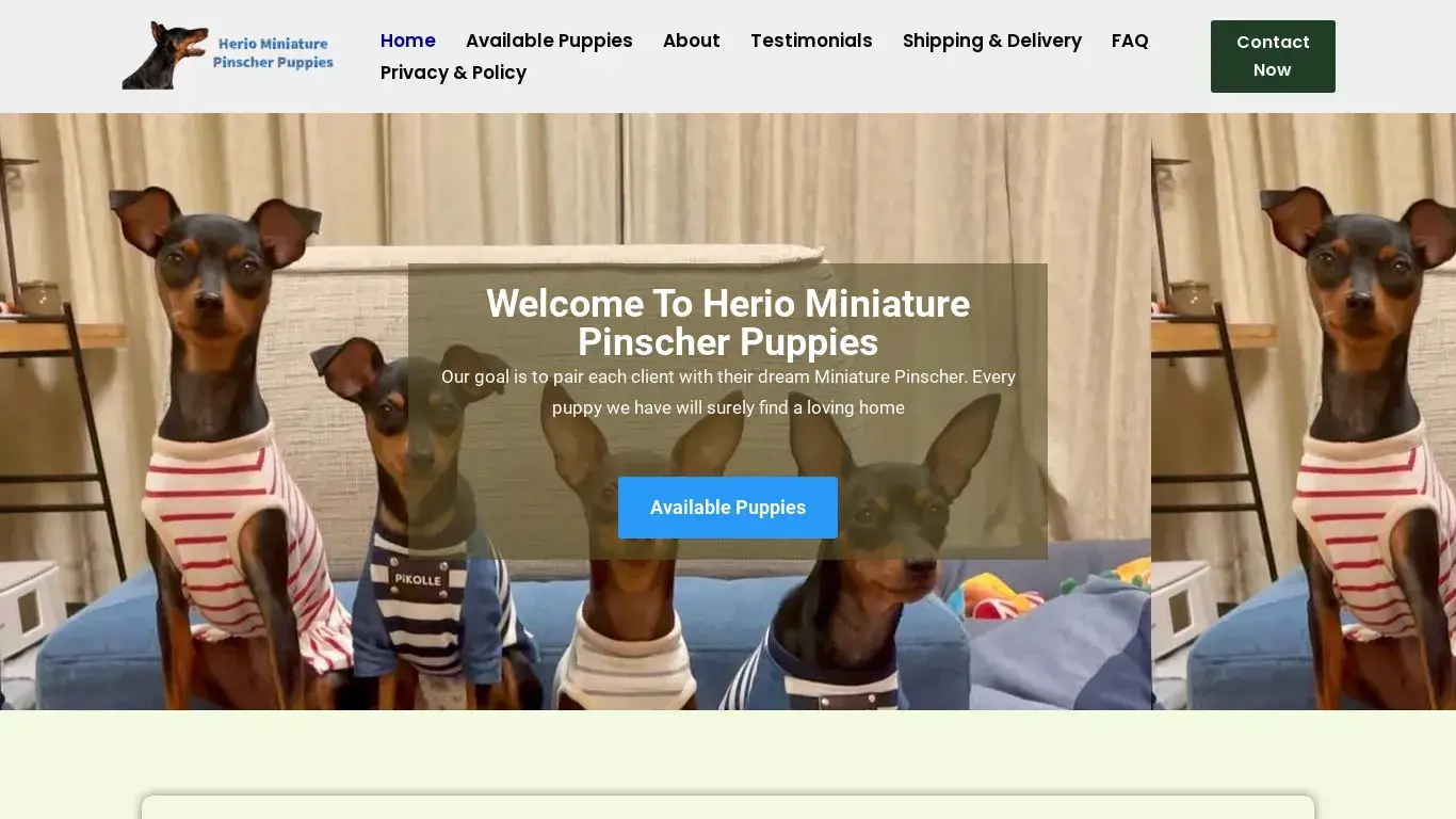 is Herio Miniature Pinscher Puppies – Miniature Pinscher Puppies For Sale legit? screenshot