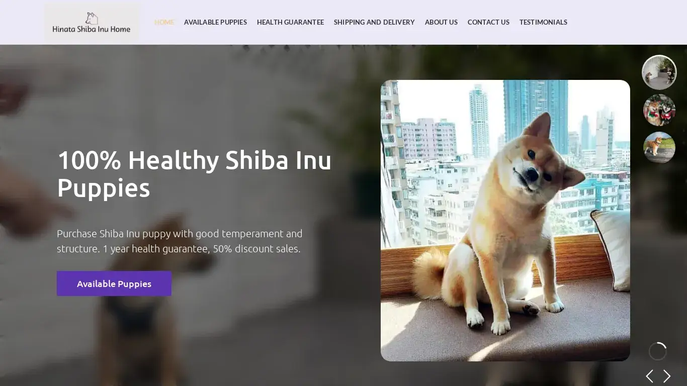 is Hinata Shiba Inu Puppy Home – Buy Shiba Inu Puppies At A Good Temperament and Structure legit? screenshot