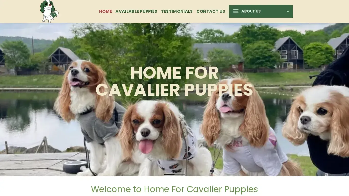 is Home For Cavalier Puppies – Cavalier King Charles Spaniel puppies for sale legit? screenshot