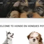 Is Hondeenhondjiespote.co.za legit?