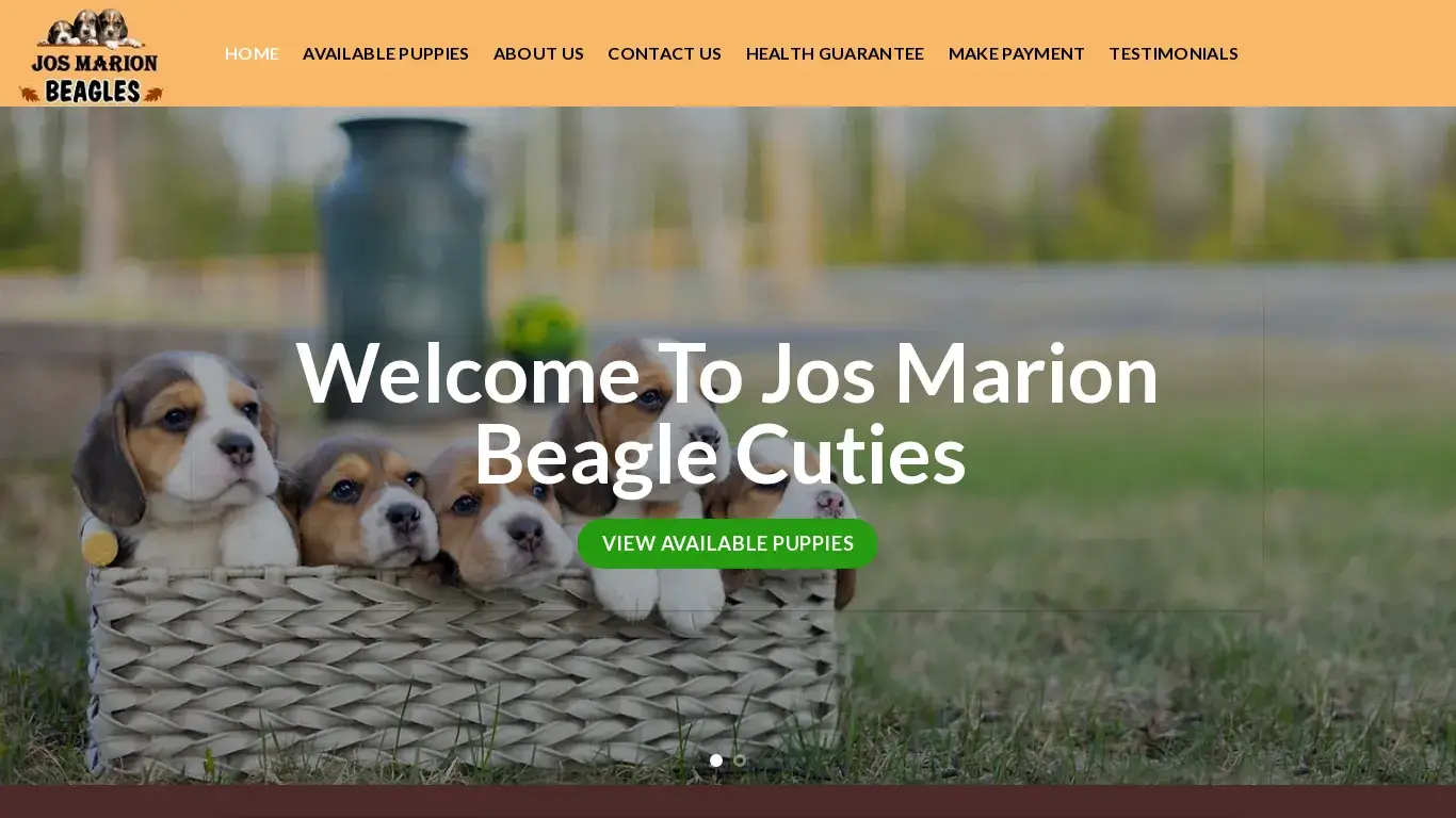 is Jos marion Beagle Puppies  – REPUTABLE BEAGLE BREEDERS  FOR RESPONSIBLE OWNERS legit? screenshot