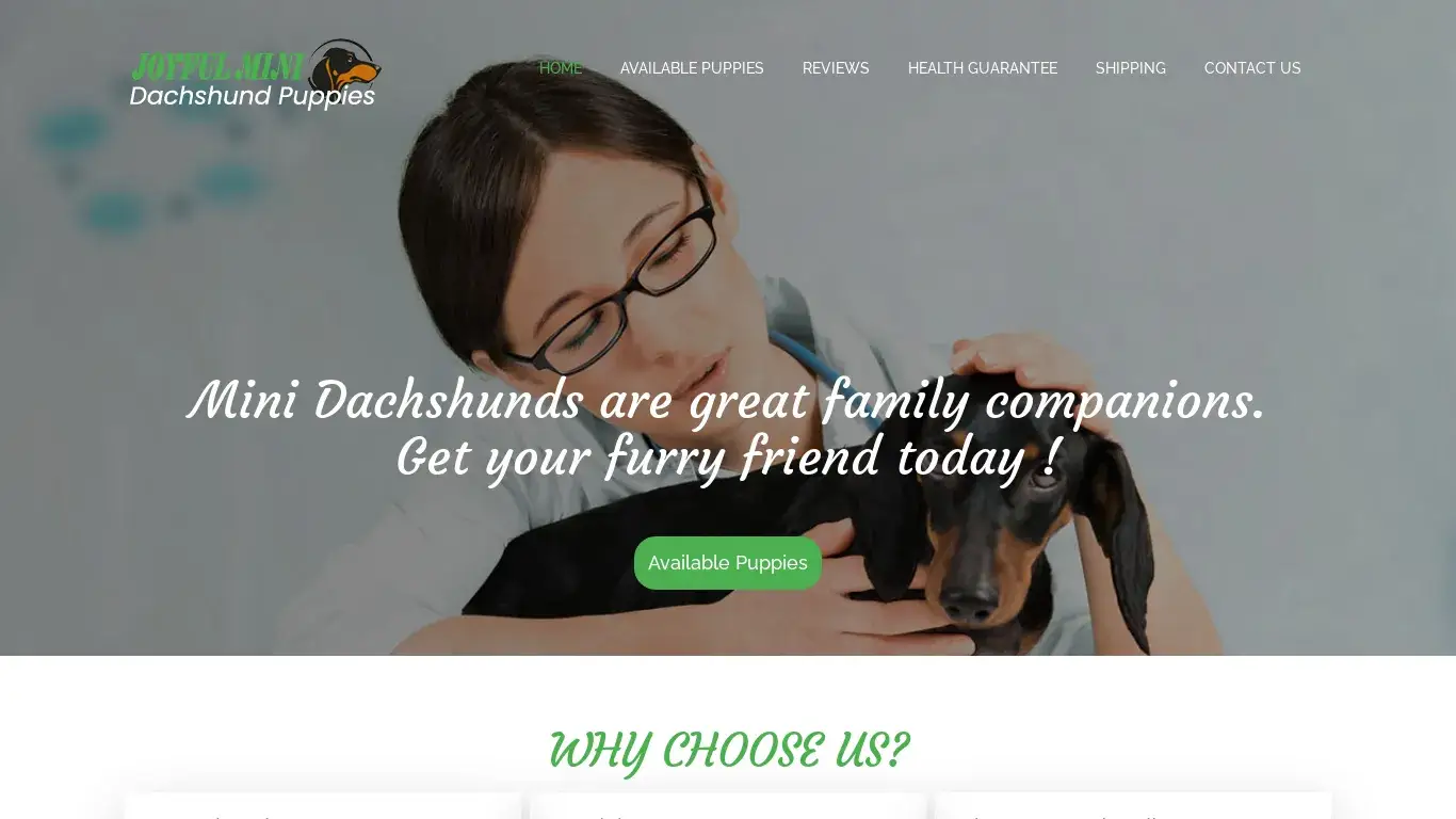 is Welcome - Joyful Mini Dachshund Puppies legit? screenshot