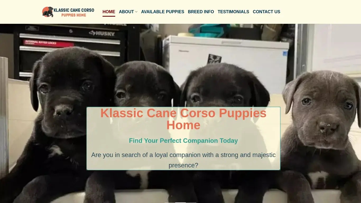 is Klassic Cane Corso Puppies Home – Cane Corso puppies for sale legit? screenshot