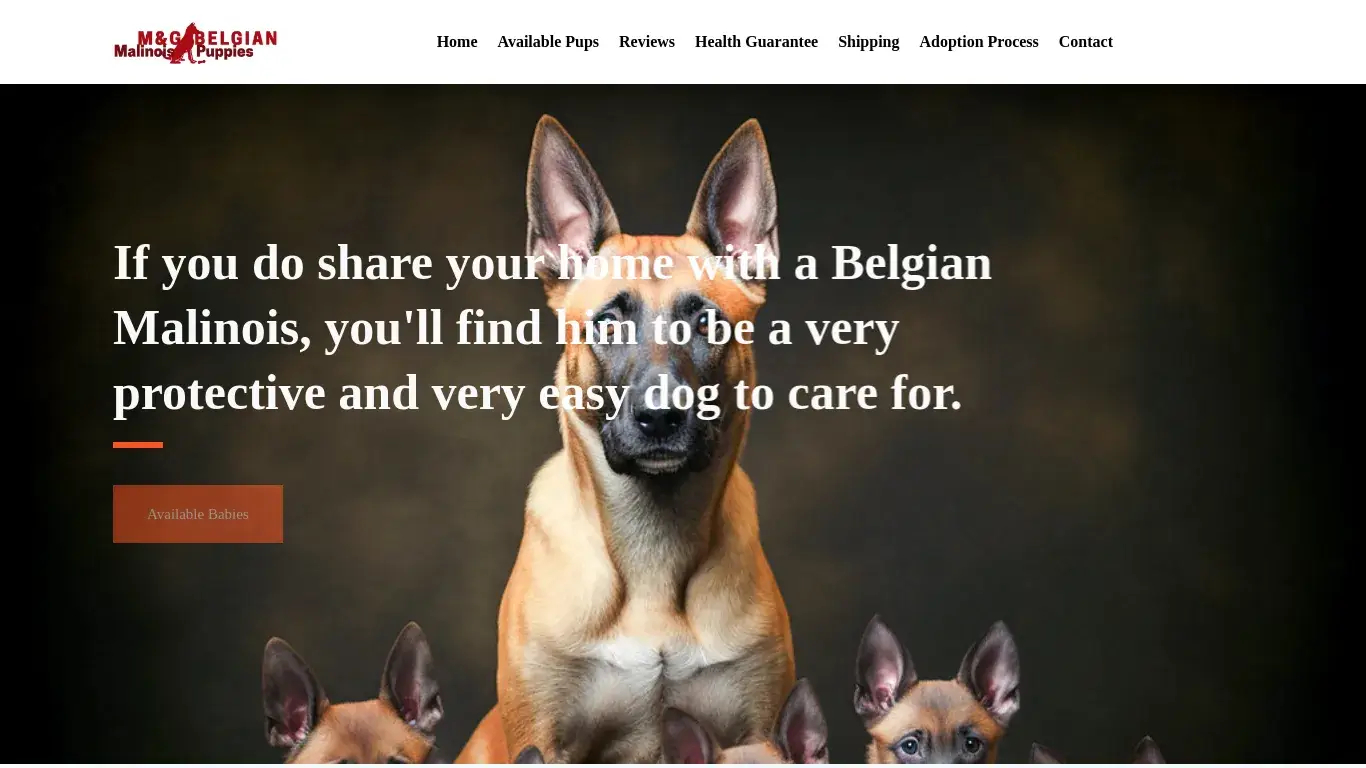 is Home | M&G Belgian Malinois Puppies Home legit? screenshot