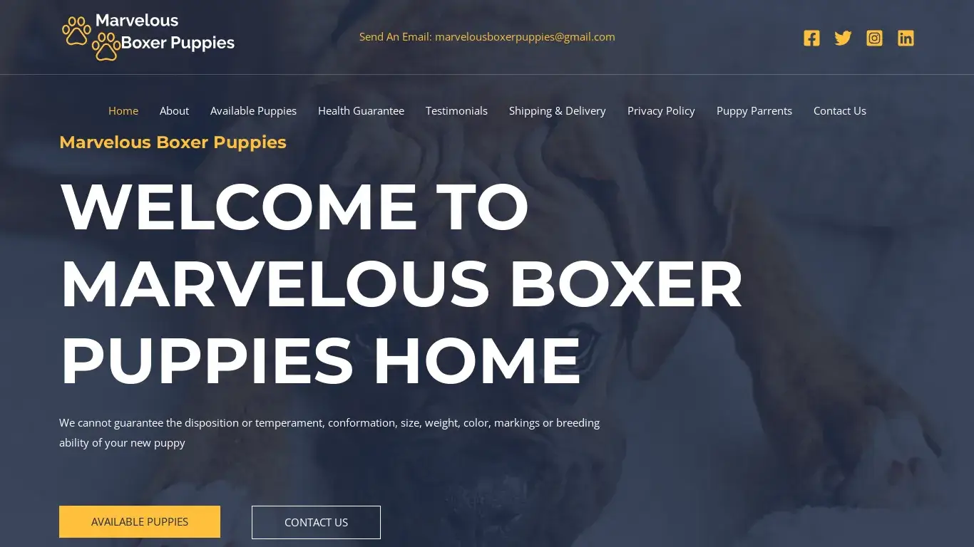 is Marvelous Boxer Puppies legit? screenshot
