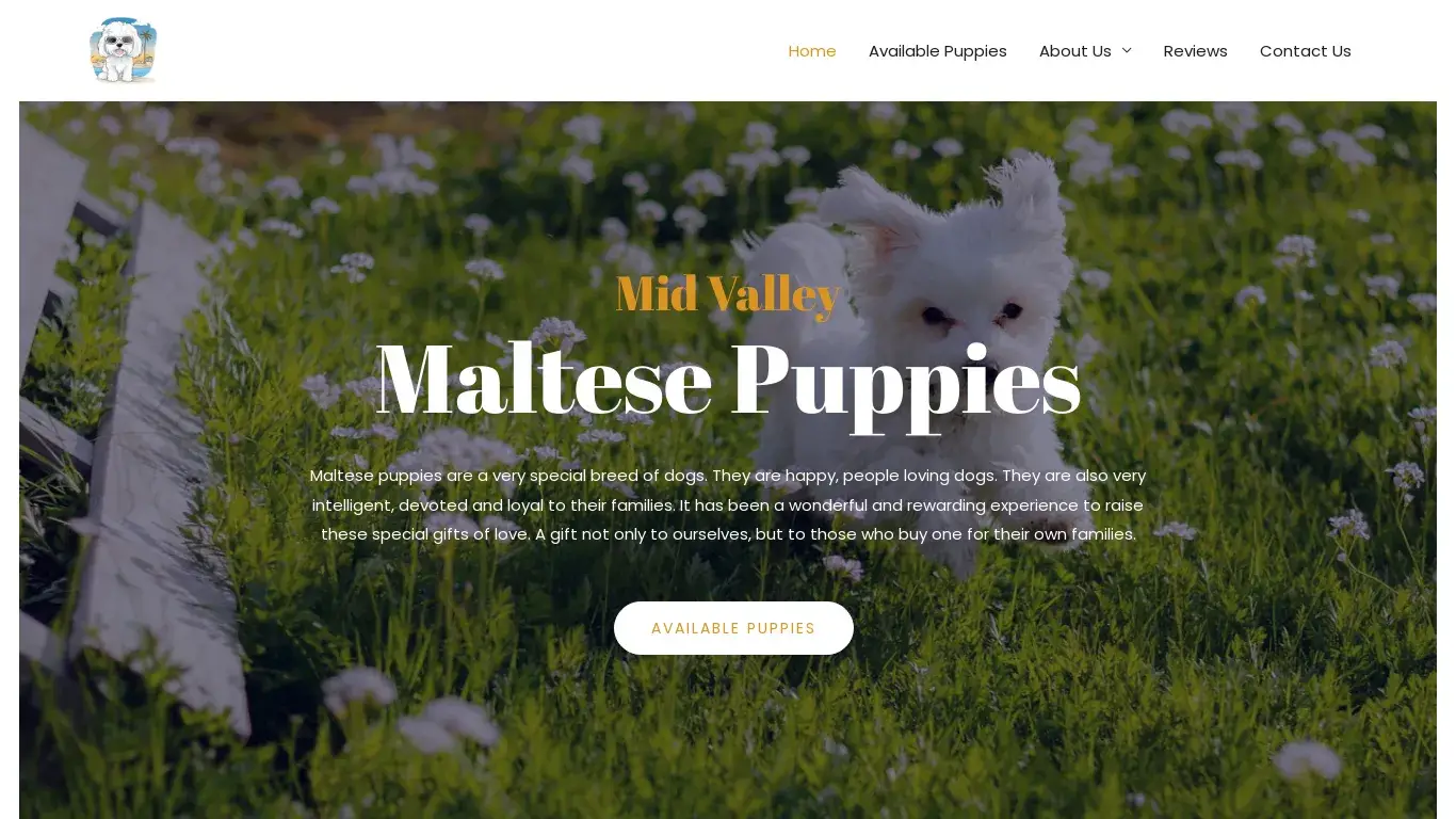 is Mid Valley Maltese Pups Home legit? screenshot