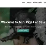Is Minipigs-forsale.com legit?