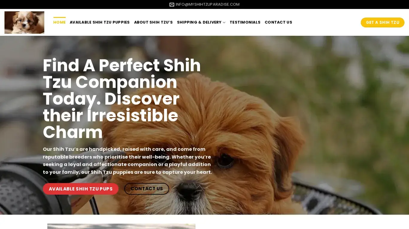 is My Shih Tzu Paradise – Buy Shih Tzu Puppies legit? screenshot