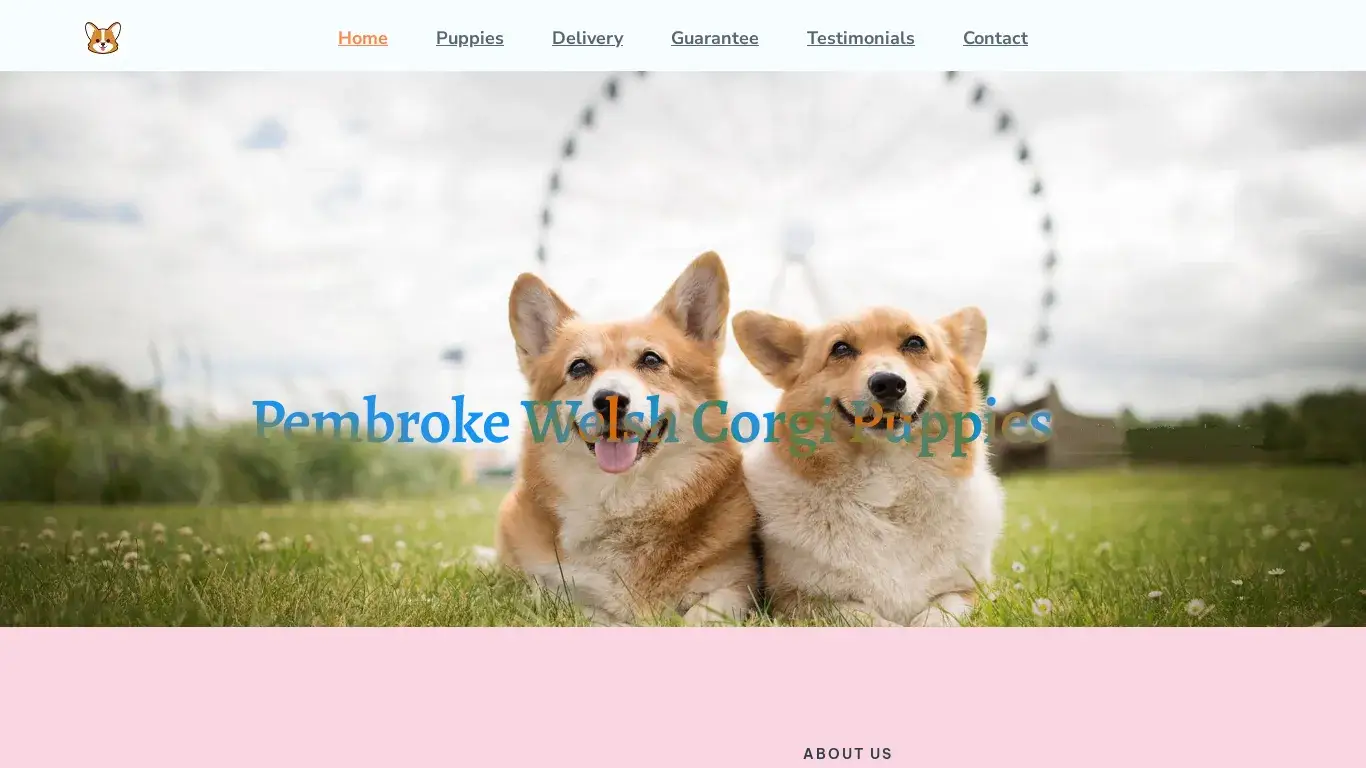 is Corgi Puppies – Pembroke Welsh Corgi Puppies legit? screenshot
