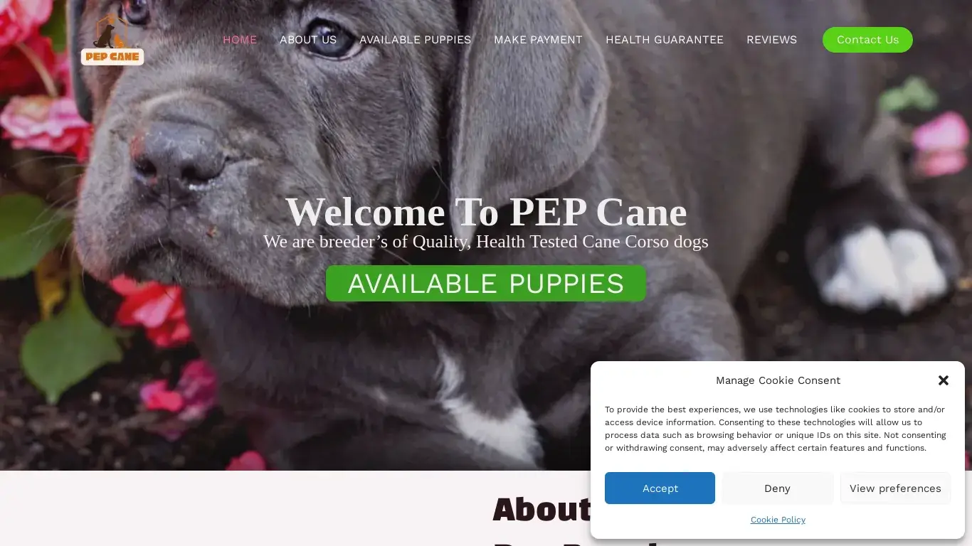is pep cane corso – sale cute healthy Corso puppies legit? screenshot