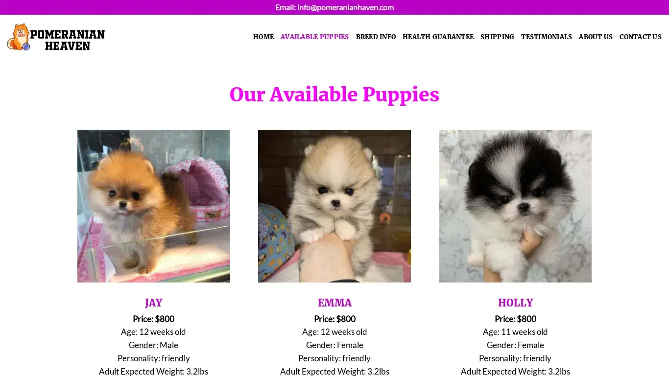 is Pomeranian Heaven – Pomeranian Puppies for sale legit? screenshot