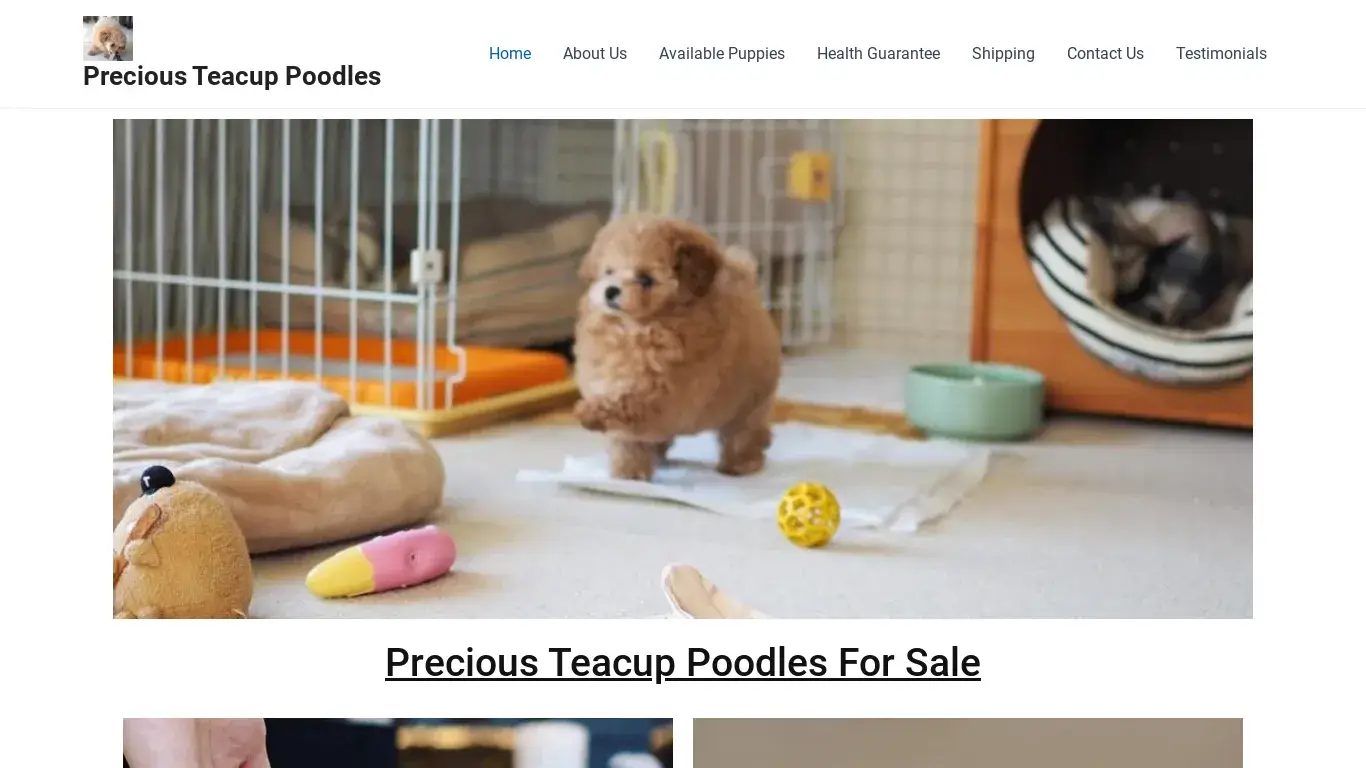 is Teacup Poodles / Teacup Poodles For Sale/ Toy Poodles For sale legit? screenshot
