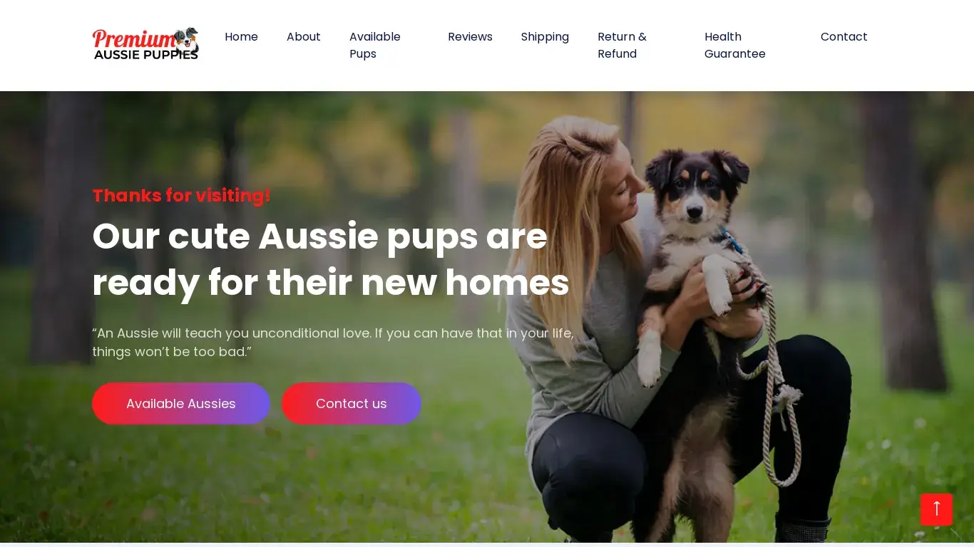 is Home | Premium Aussie Puppies legit? screenshot