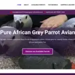Is Pureafricangreyparrotsavian.com legit?