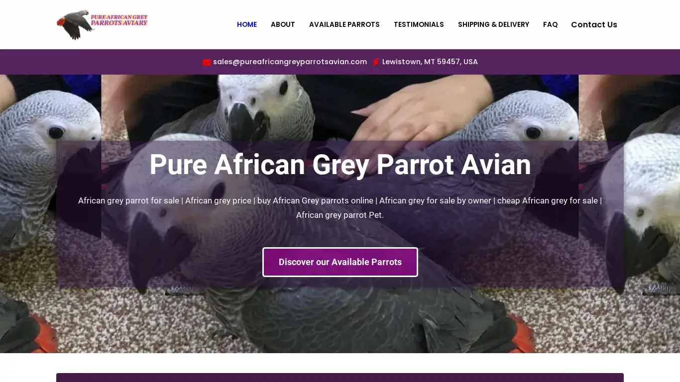 is Pure African Grey Parrots Avian – African Grey Parrot For Sale legit? screenshot