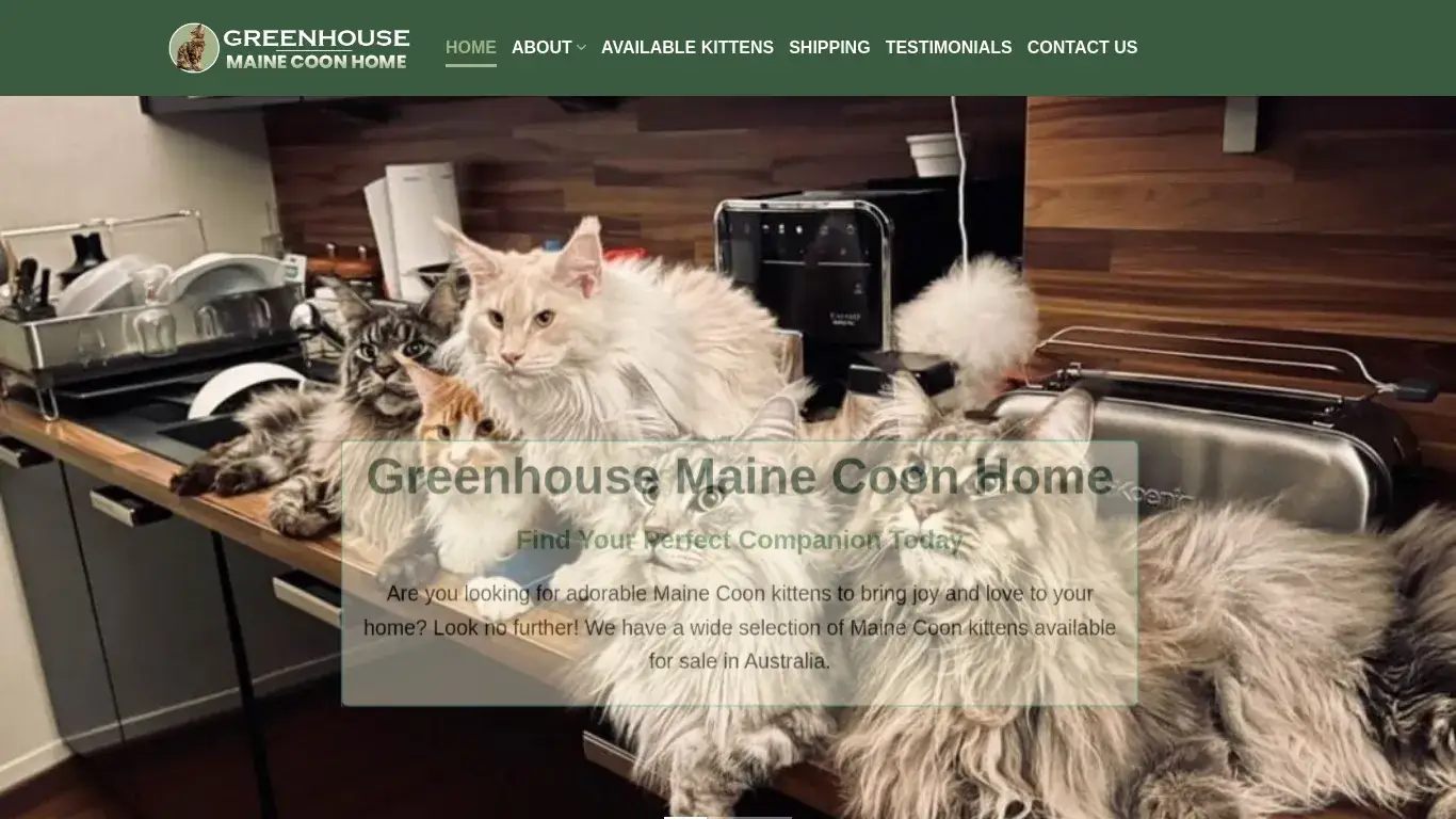 is Greenhouse Maine Coon Home – Maine coon kittens for sale legit? screenshot