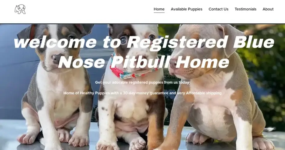 Is Registeredpitbullhome.com legit?