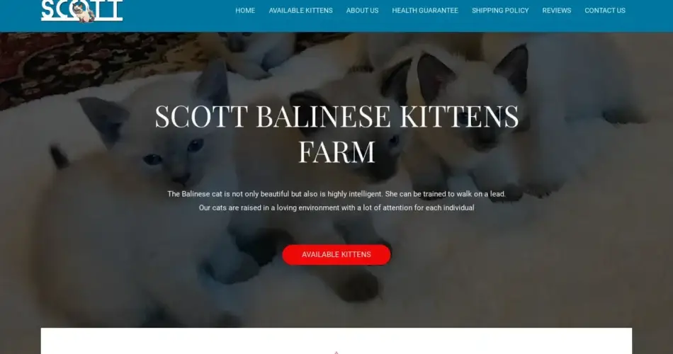 Is Scottbalinesekittensfarm.com legit?