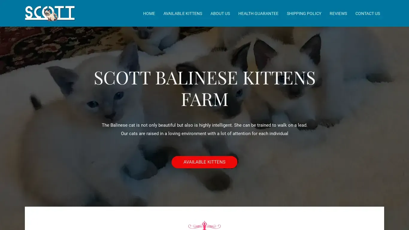 is Scott Balinese Kittens Farm – We are passionate about breeding top-quality cats that are both beautiful and affectionate and we specialize in Balinese Kittens legit? screenshot