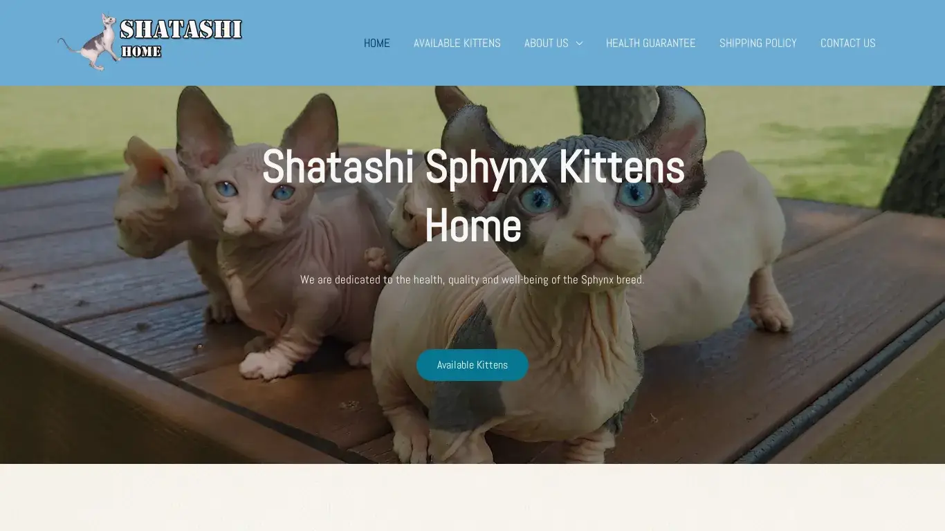 is Shatashi Sphynx Kittens Home – Loving and playful Sphynx cat for sale from our certified cattery, leading Sphynx kitten breeder in California and USA. legit? screenshot