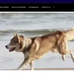Is Snowhuskydogs.com legit?