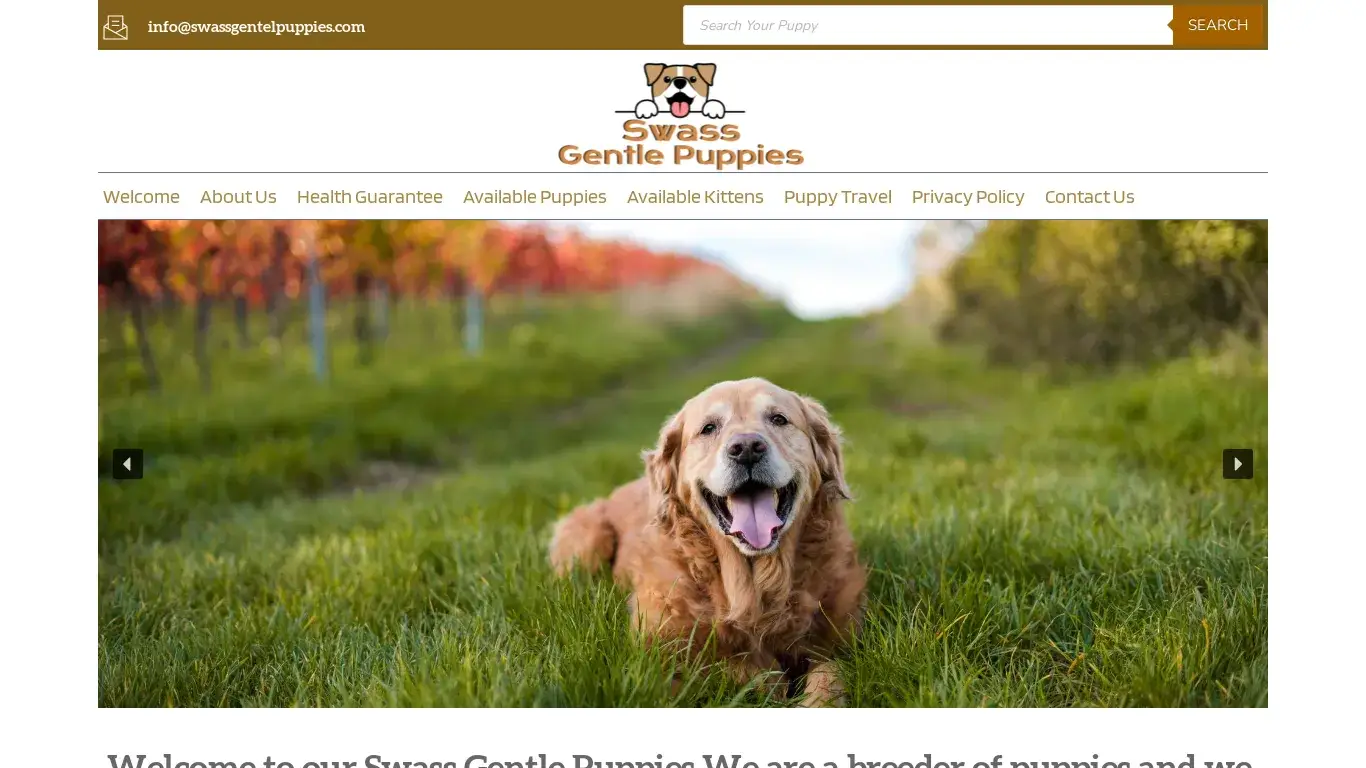is Swass Gentle Puppies – Healthy Golden Retriever Puppies For Sale legit? screenshot