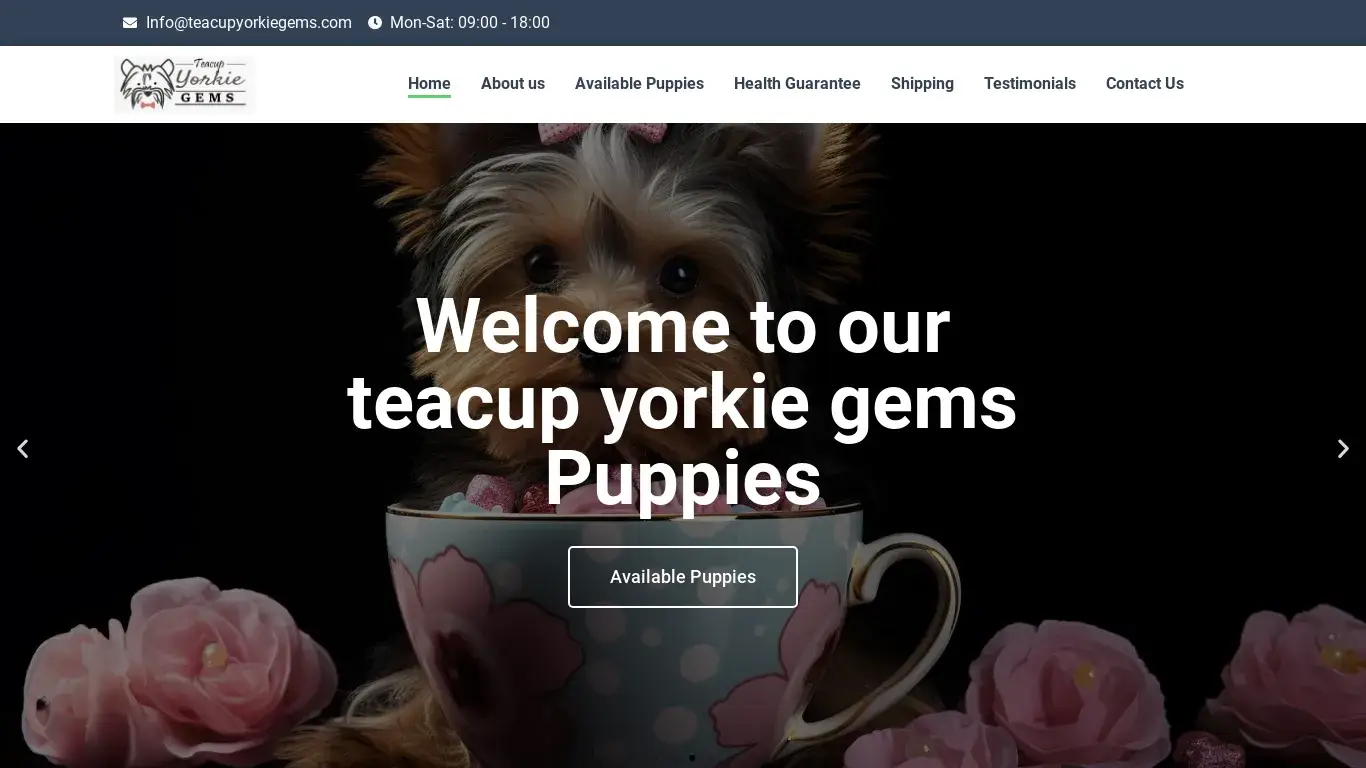 is Teacup Yorkie Puppies For Sale legit? screenshot