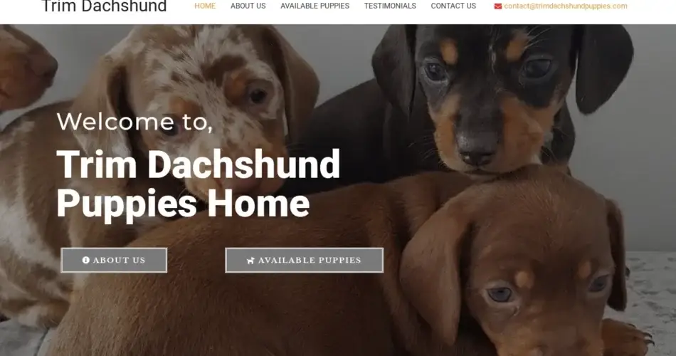 Is Trimdachshundpuppies.com legit?