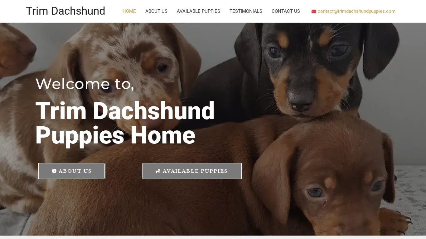is Trim Dachshund – Dachshunds Puppies For Sale legit? screenshot