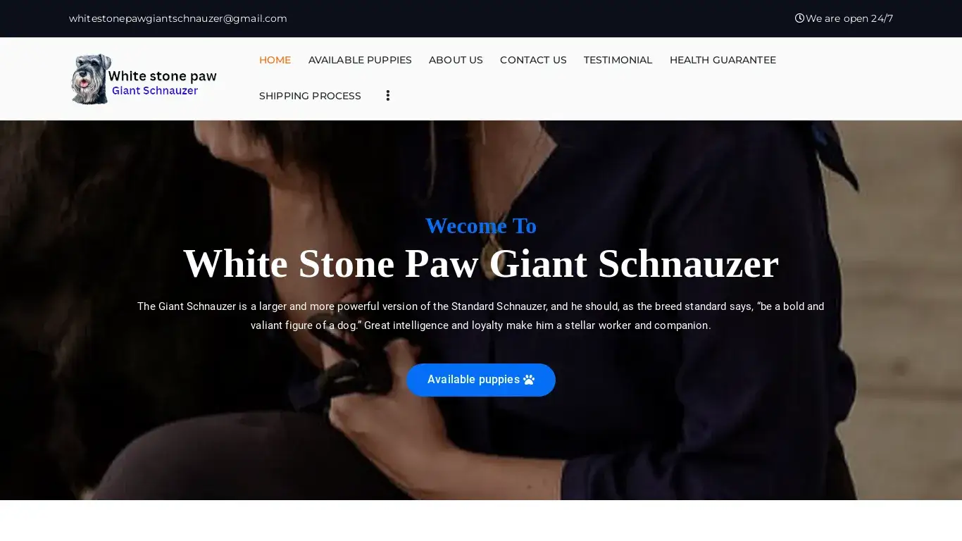 is White stone paw giant schnauzer – adorable and cute giant schnauzer puppies legit? screenshot