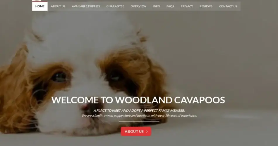 Is Woodlandcavapoos.com legit?