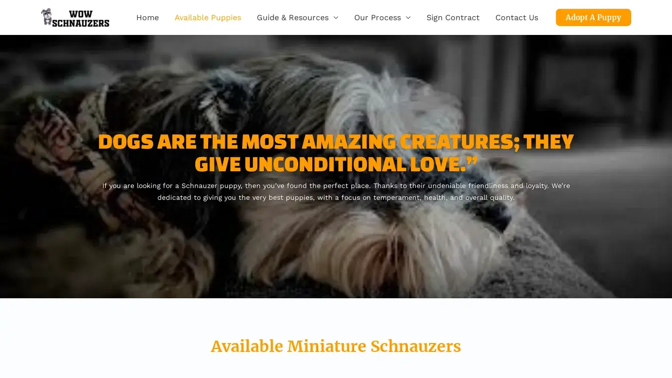 is Wow Schnauzers – Adopt A Schnauzer Puppy legit? screenshot