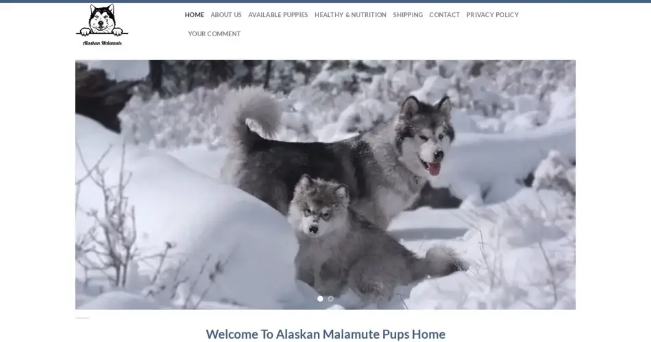 Is Alaskanmalamutespups.com legit?
