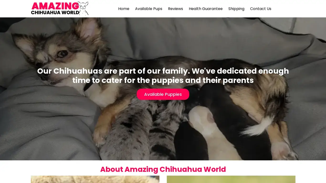 is Home - Amazing Chihuahua World legit? screenshot