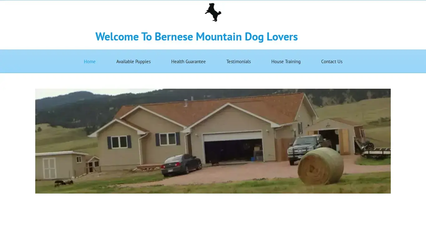 is Bernese Mountain Dog Puppies for Sale legit? screenshot