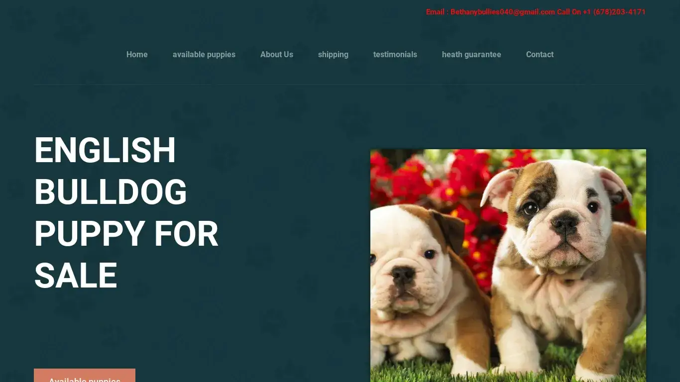 is bethanybulies.com – best English bulldogs legit? screenshot