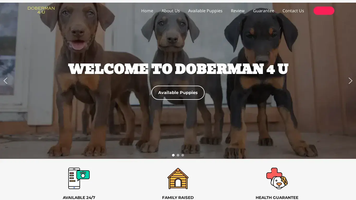 is Doberman 4 U – We Got The Best Doberman legit? screenshot