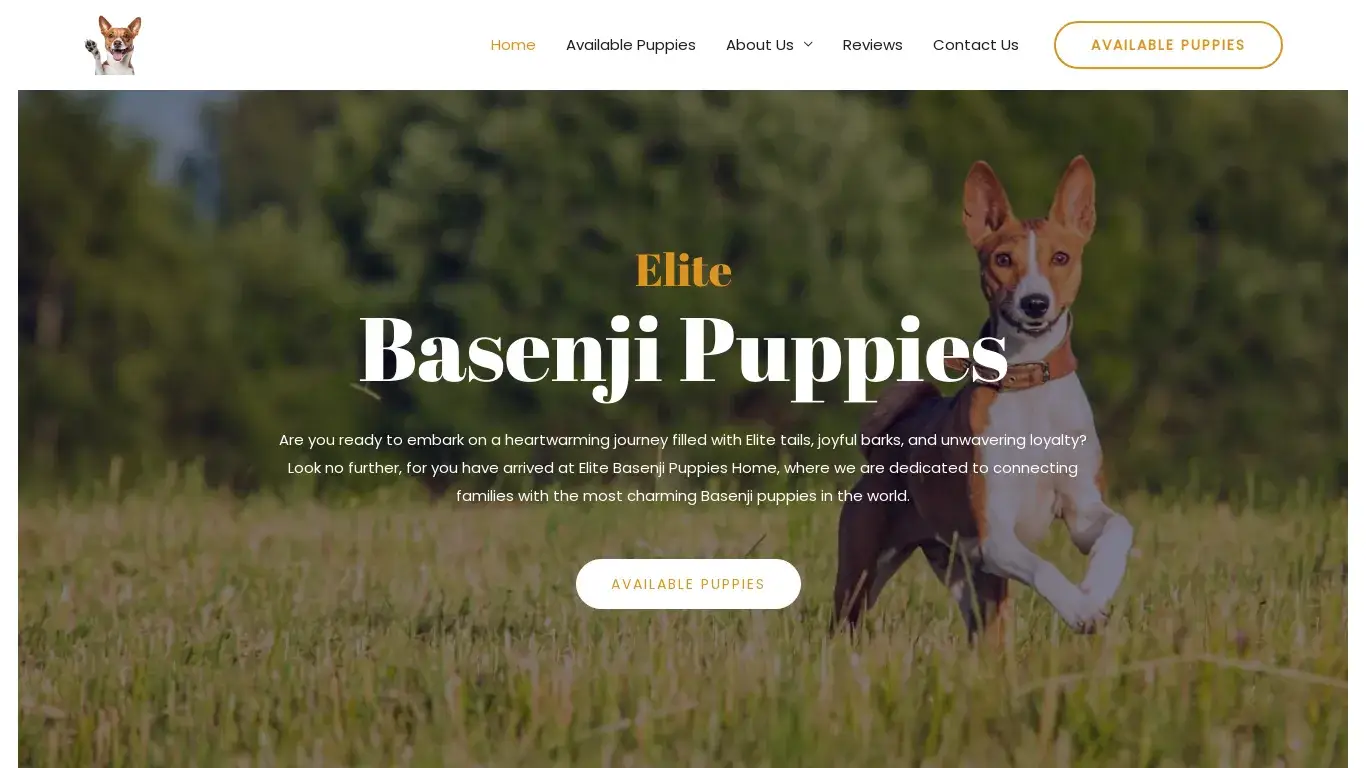is Elite Basenji Puppies legit? screenshot