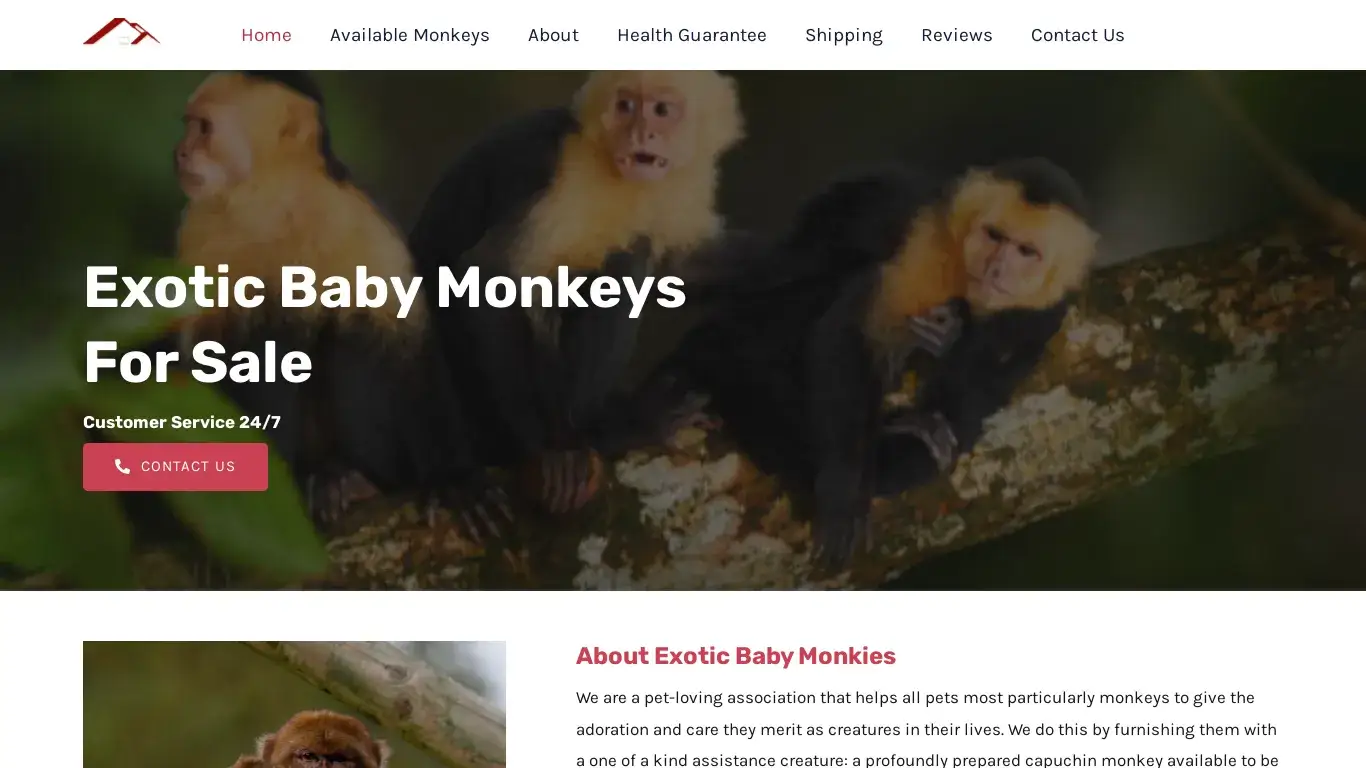 is Exotic Baby Monkies legit? screenshot