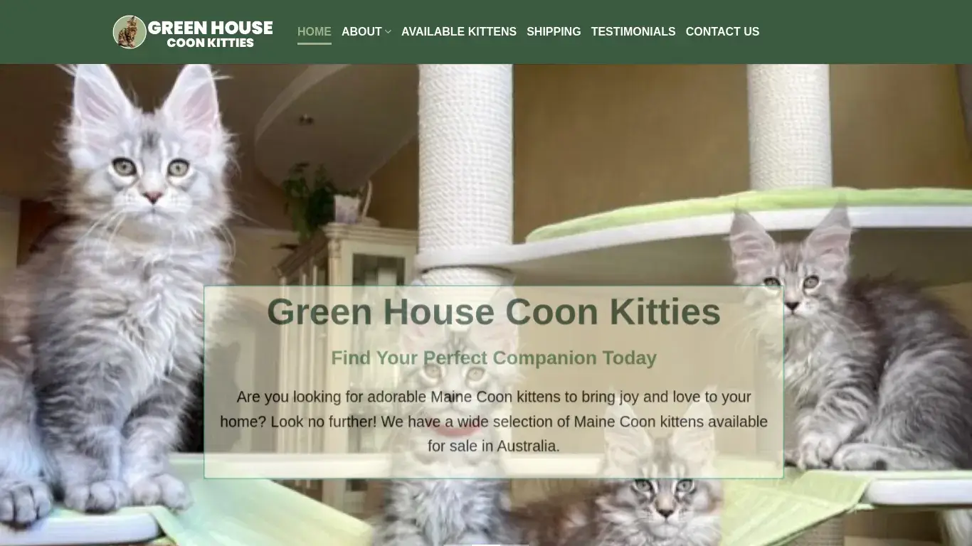 is Green House Coon Kitties – Maine coon kittens for sale legit? screenshot