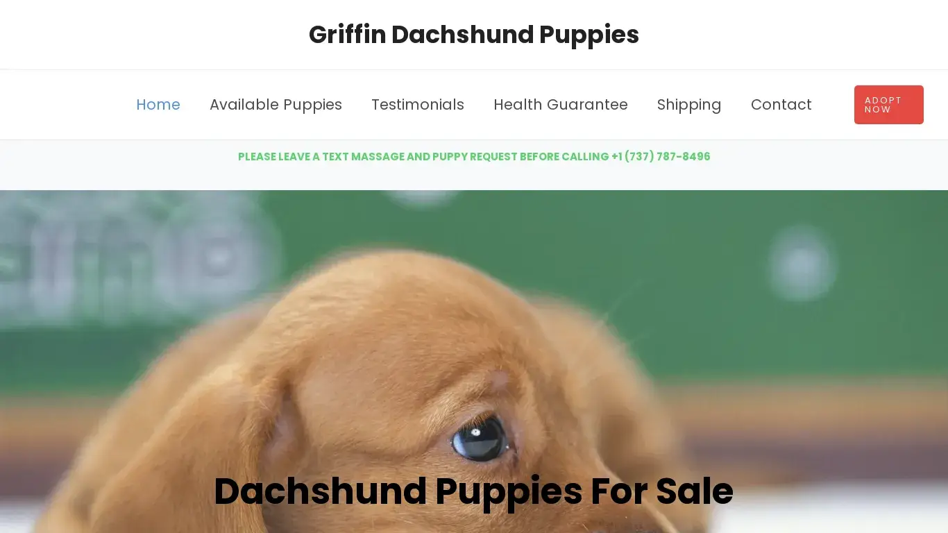 is Griffin Dachshund Puppies – Dachshund Puppies For Sale legit? screenshot