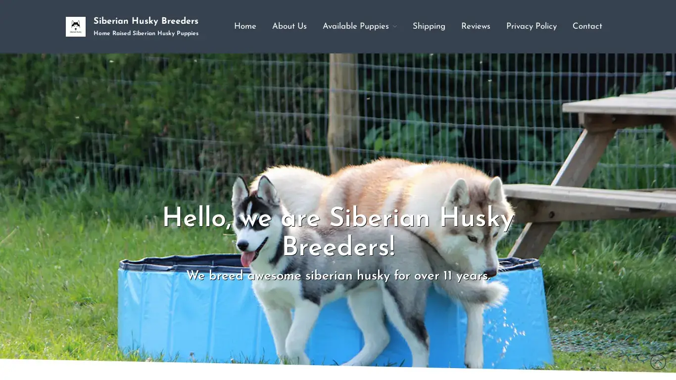 is Siberian Husky Breeders – Home Raised Siberian Husky Puppies legit? screenshot