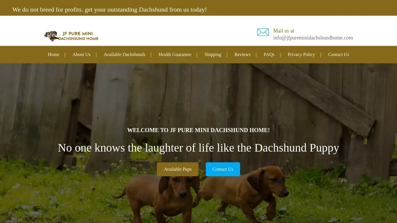 is Home | Dachshund Puppies For Sale | jfpureminidachshundhome.com legit? screenshot