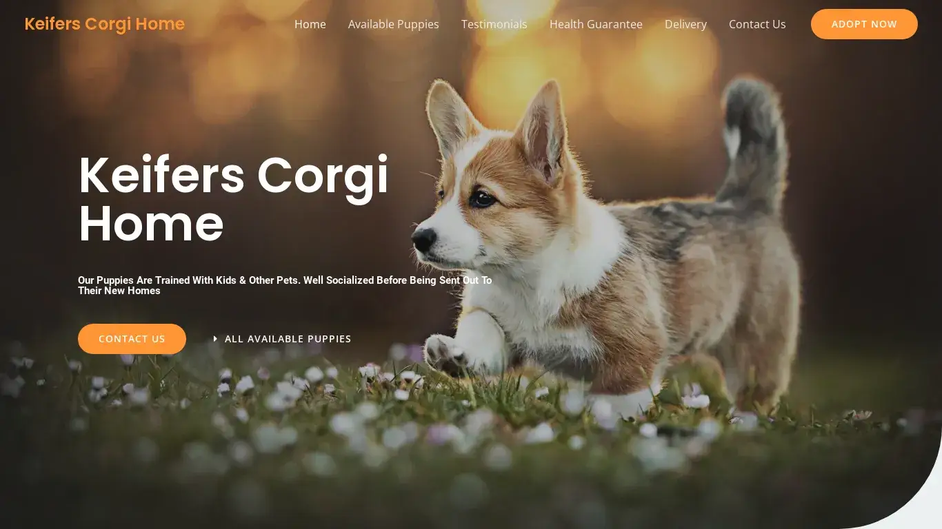 is Keifers Corgi Home – Purebred Corgi Puppies For Sale legit? screenshot