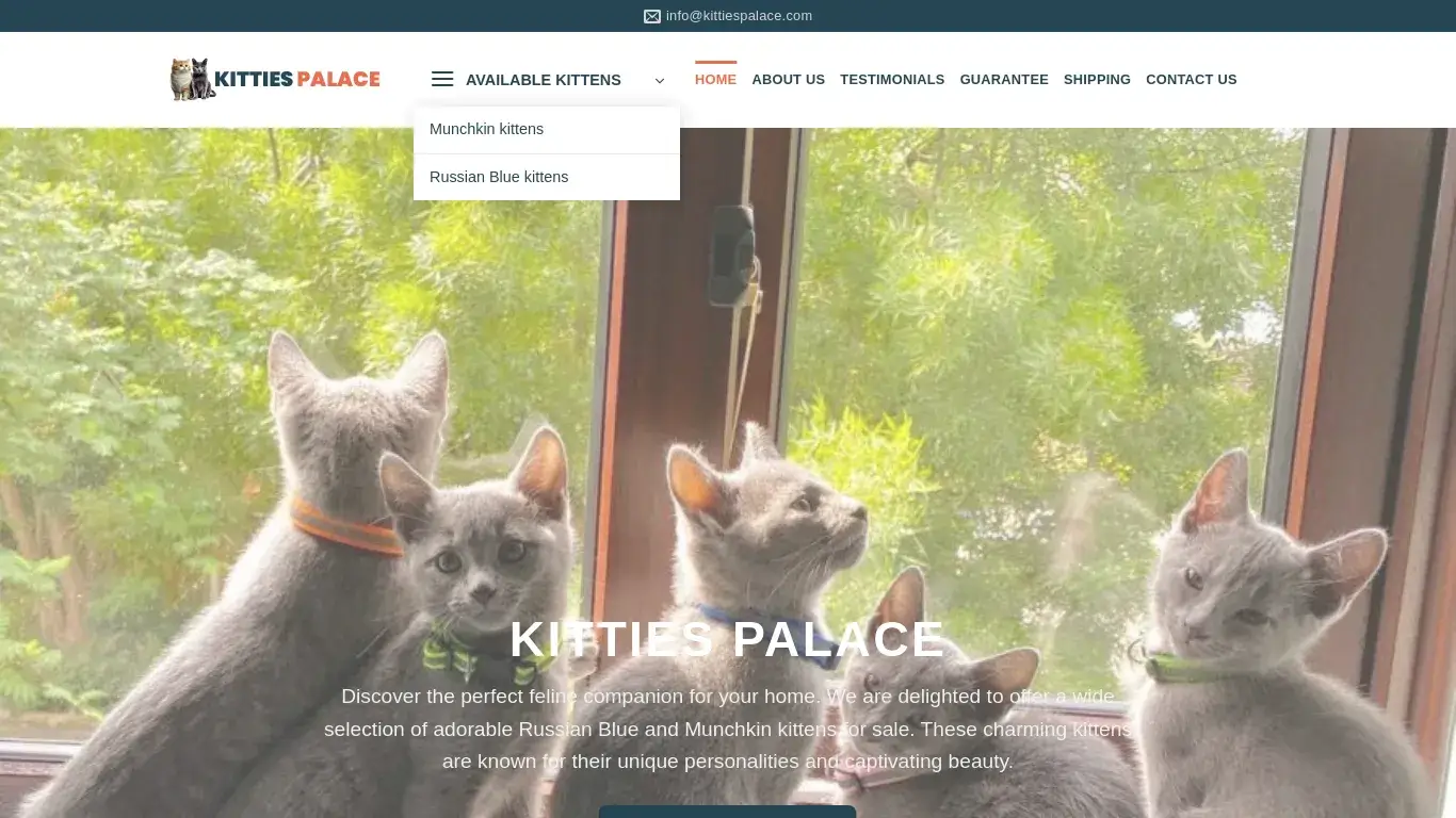 is Home | Kitties Palace legit? screenshot