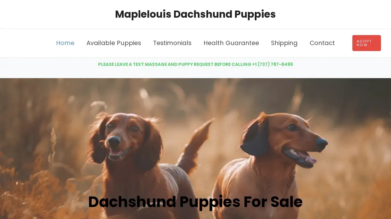 is Maplelouis Dachshund Puppies – Dachshund Puppies For Sale legit? screenshot