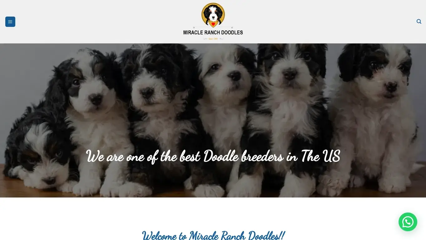 is MIRACLE RANCH DOODLES – Best place to buy Bernedoodles and Sheepadoodles online legit? screenshot