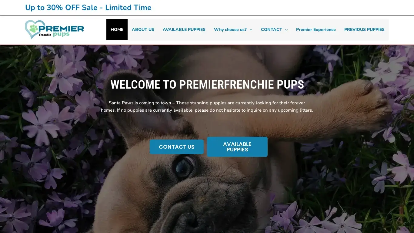 is Premier puppies – Premier puppies} legit? screenshot